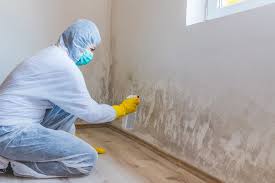 Best Commercial Mold Inspection in Palermo, CA